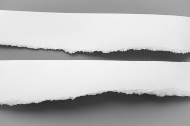 Gri arka planda beyaz yırtık kağıt. koleksiyon kağıdı yırtılması