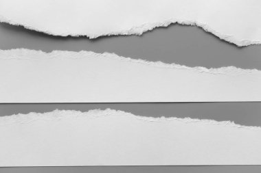 Gri arka planda beyaz yırtık kağıt. koleksiyon kağıdı yırtılması