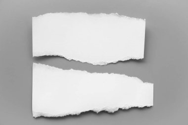 Gri arka planda beyaz yırtık kağıt. koleksiyon kağıdı yırtılması