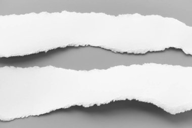 Gri arka planda beyaz yırtık kağıt. koleksiyon kağıdı yırtılması