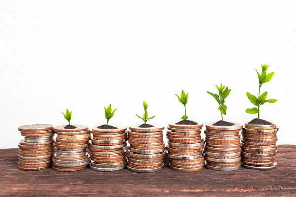 Financial planning, Money growth concept. Coins with young plant on table with backdrop cement wall.