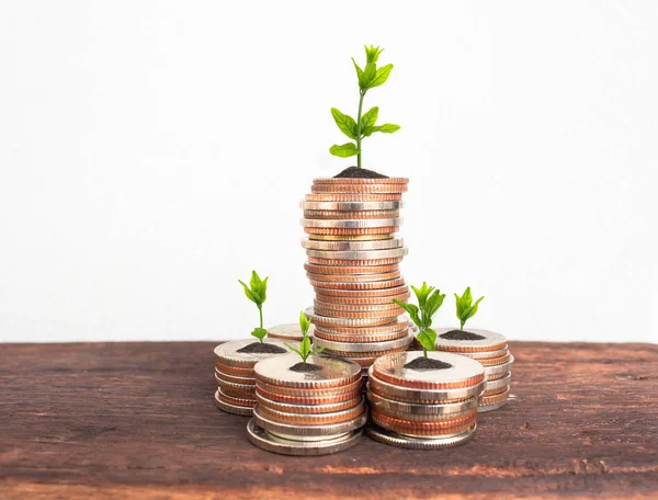 Financial planning, Money growth concept. Coins with young plant on table with backdrop cement wall.