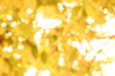 Altın bulanıklık arka plan. sarı bokeh bulanık Noel güzel parlak Noel ışıkları