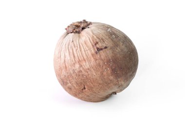 beyaz arka plan üzerinde kahverengi hindistan cevizi kabuğu