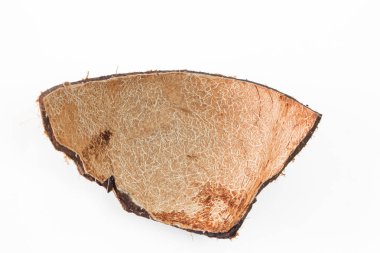 Beyaz arkaplanda hindistan cevizi kabuğu.