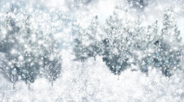 Snow Winter Day White Shristmas Snowflake Background — Stock Photo, Image