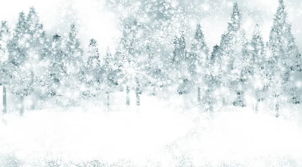 Winter Forest Snowy Trees Snow — Photo