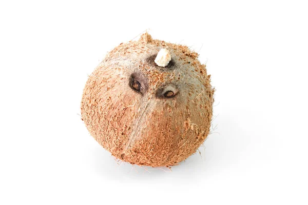 白い背景に茶色のドライココナッツ — ストック写真
