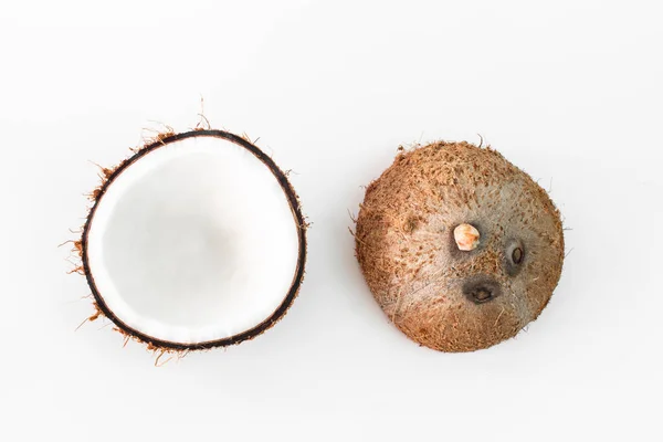 白色可可豆一半 椰子从自然在白色背景 — 图库照片