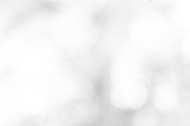 Gri bokeh doğa ormanlarından odak arka plan dışında