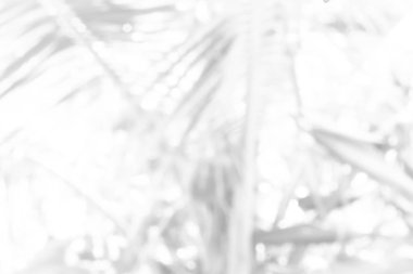 siyah-beyaz mermer zemin.