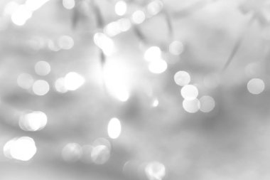 Doğa, daire beyaz duvar kağıdı, gri bokeh arka plan beyaz bulanık zemin