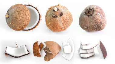 Beyaz arka planda doğadan hindistan cevizi seti.