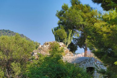 Nice da Castle Hill Doğu tarafında ağaçlar ve kalıntılar