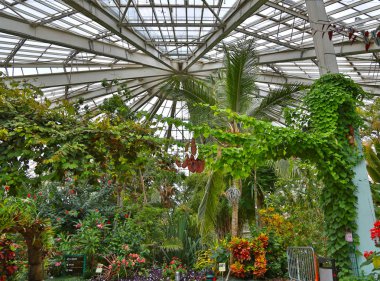 Nice, Fransa - 15 Haziran 2014: Parc Phoenix In Nice, Fransa.