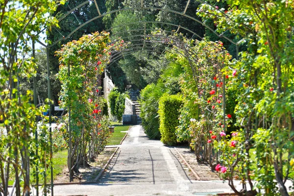 Nice, Frankrijk-19 juni 2014: tuin van het Cimiez klooster — Stockfoto