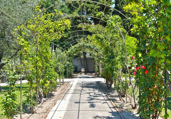 Nice, Frankrijk-19 juni 2014: tuin van het Cimiez klooster — Stockfoto