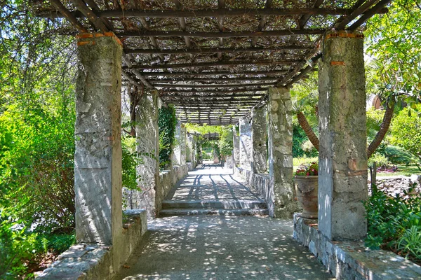 Nice, Frankrike-19 juni, 2014: trädgård av Cimiez kloster — Stockfoto