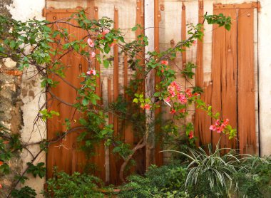 Antibes, Alpes-Maritimes, Fransa-Haziran 16, 2014: şehir sokakları