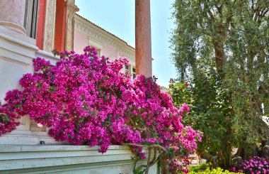 Nice, Fransa- 17 Haziran 2014: Villa Ephrussi de Rothschild