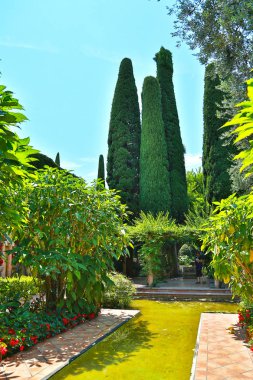 Nice, Fransa- 17 Haziran 2014: peyzaj bahçesi Villa Ephrussi de 