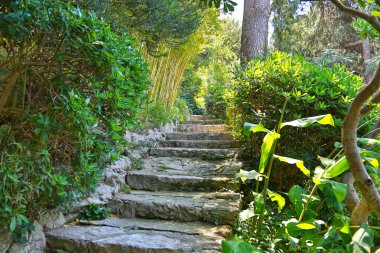 Nice, Fransa- 17 Haziran 2014: peyzaj bahçesi Villa Ephrussi de 