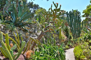 Nice, Fransa- 17 Haziran 2014: peyzaj bahçesi Villa Ephrussi de 