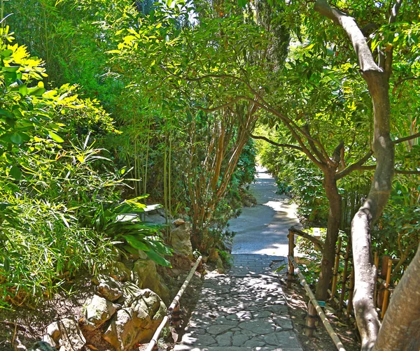 Niza, Francia- 17 de junio de 2014: jardín paisajístico Villa Ephrussi de —  Fotos de Stock