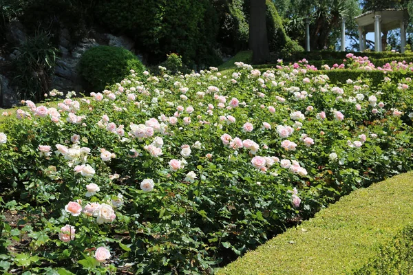 Nizza, Francia- 17 giugno 2014: giardino paesaggistico Villa Ephrussi de — Foto Stock