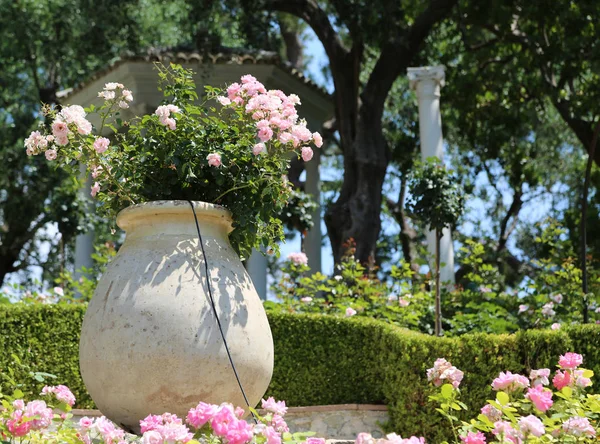尼斯，法国 - 2014年6月17日：景观花园别墅埃夫鲁西德 — 图库照片