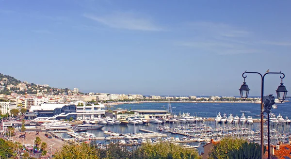 Cannes, França - 6 de agosto de 2013: vista da altura do flerte do pássaro — Fotografia de Stock