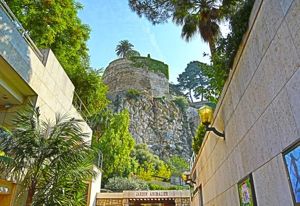 Fontvieille, Monaco-13 juni 2014: zoölogische tuin van Monaco — Stockfoto