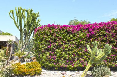 Monte-Carlo, Monako- 3 Ağustos 2013: operaya yakın meydan 