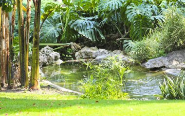 Monte-Carlo, Monako- 13 Haziran 2014: bahçelerde göl 