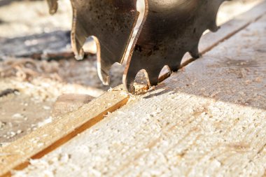 Dairesel testere bıçağı. Ağaç kesme tahtaları