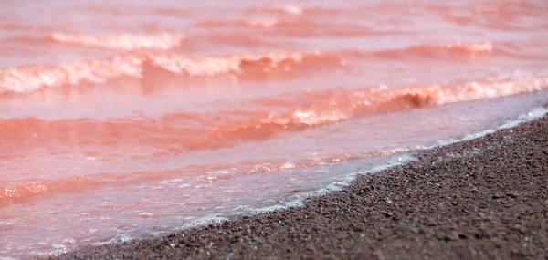 Roze Water Van Het Meer Van Bele Khakassië Rusland — Stockfoto