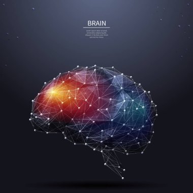 beyin düşük Poli renk