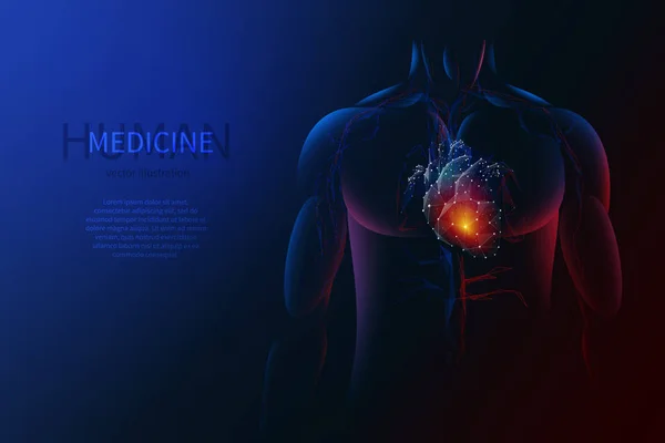 Menselijk lichaam en hart — Stockvector