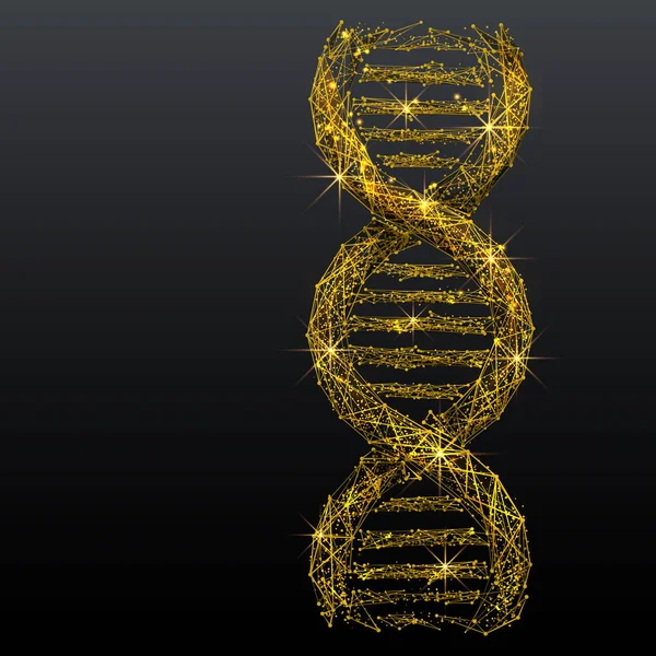 Collegamento DNA metallo oro a basso poli wireframe — Vettoriale Stock