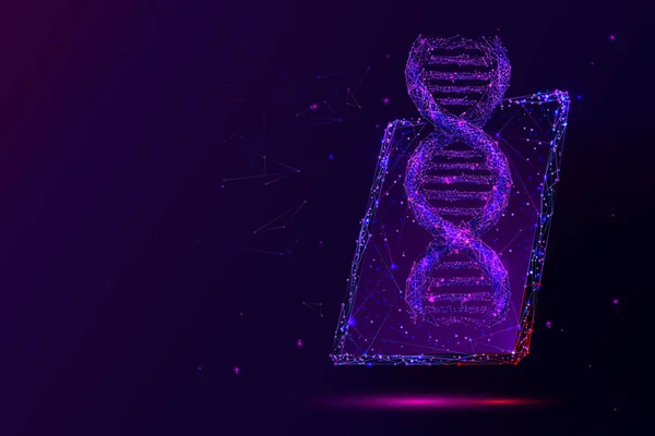 紫の遺伝科学、バイオテクノロジー低ポリワイヤーフレームイラスト — ストックベクタ