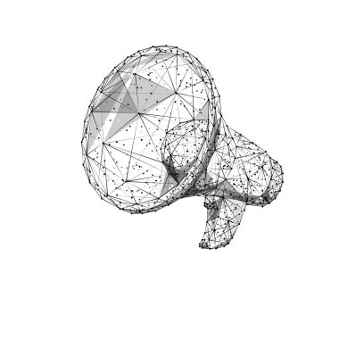 İnternet Servisi lpb