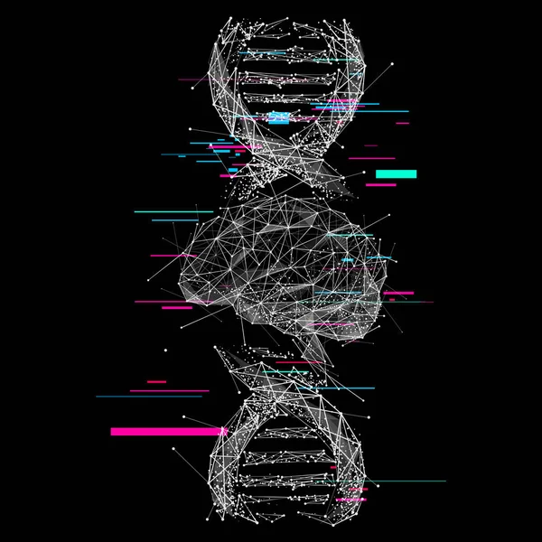 Mozek a DNA spojení nízký Poly a porucha — Stockový vektor