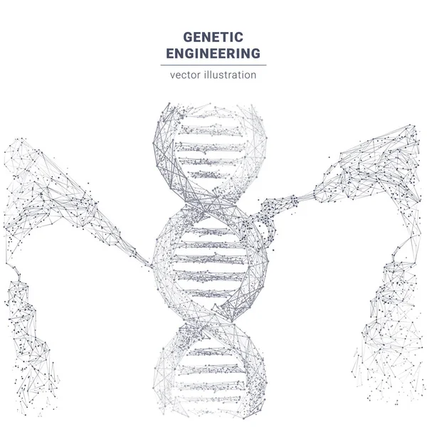 Schéma synthétique du concept de génie génétique — Image vectorielle