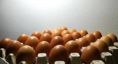 Tavuk çiftliğinden gelen çiğ ve taze tavuk yumurtaları kabın içine konur..
