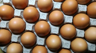 Tavuk çiftliğinden gelen çiğ ve taze tavuk yumurtaları kabın içine konur..
