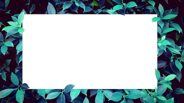 White blank space for text with green leaves as backdrop,text frames.