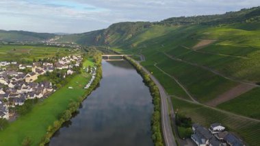 Kinheim Kroev köyü, Moselle nehri, Bernkastel bölgesi, Mosel vadisi manzarası, üzüm bağı dağı, Rhineland Palatinate, Almanya