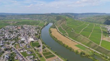 Leiwen ve Trittenheim, Mosel nehri döngüsüne sahip Moselle Vadisi, hava manzarası, sarmaşıkta yetişen şarap, üzüm bağı manzarası ve tarım, Almanya