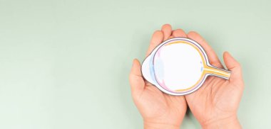 Göz bebeği, retina, iris ve optik sinir, görme organı, anatomi, vücut parçası, göz küresi...