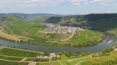 Trittenheim, Mosel Nehri 'nin döngü halinde Moselle Vadisi, hava manzaralı, sarmaşıkta yetişen şarap, üzüm bağı manzarası ve Almanya' da tarım.